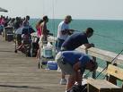 Fishing on the Naples Pier